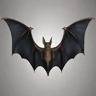 bat wings png