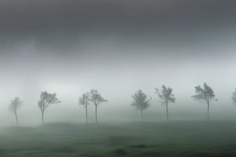 fog transparent background