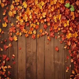 autumn wallpaper phone