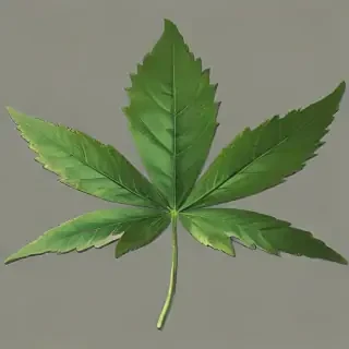 weed leaf png