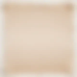 paper torn png