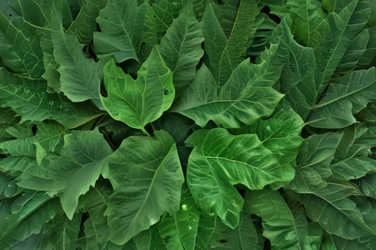 green leaf design