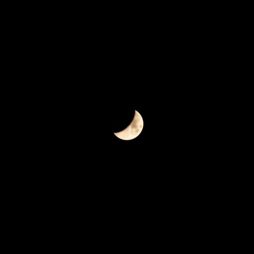 Capture a high-resolution image of a partially eclipsed moon against a dark sky using a DSLR camera with a 300mm lens, aperture f/8, ISO 400, shutter speed 1/250s, shooting from a tripod with a clear view and minimal light pollution to enhance image quality.