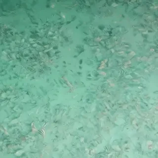 mint green backgrounds