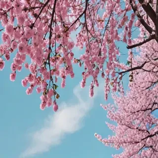 aesthetic spring wallpaper