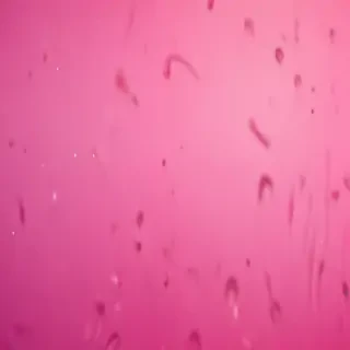 pink iphone wallpaper hd