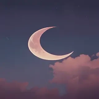 aesthetic crescent moon