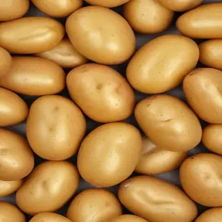 potato png