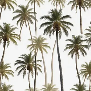 palm trees transparent