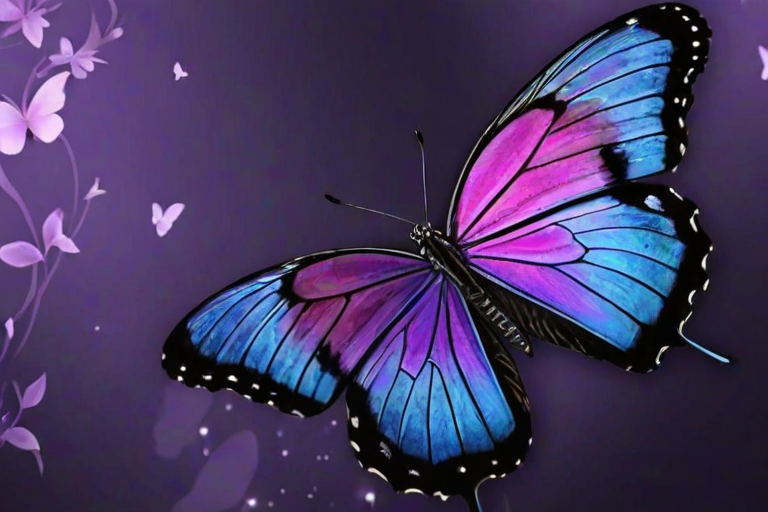 butterfly wallpaper for phone