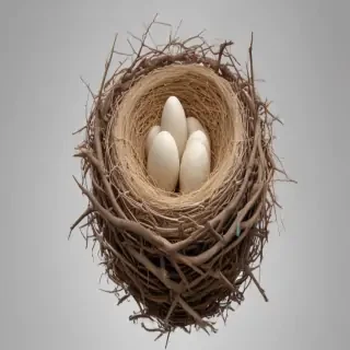 birds nest png