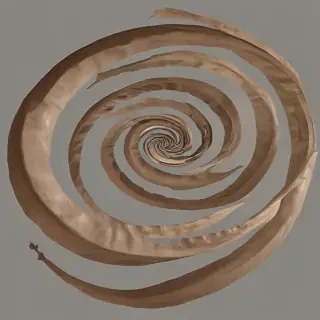 spiral png