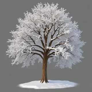winter tree png
