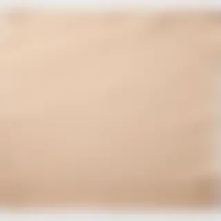 aesthetic ripped paper png