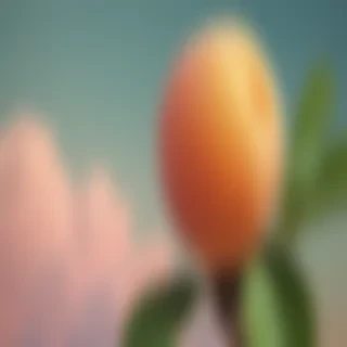peach wallpaper aesthetic