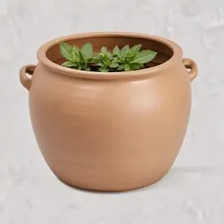 pot png