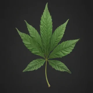 pot leaf png