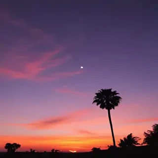 aesthetic wallpaper sunset