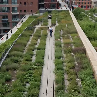 high line photos