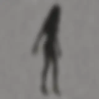shadow transparent