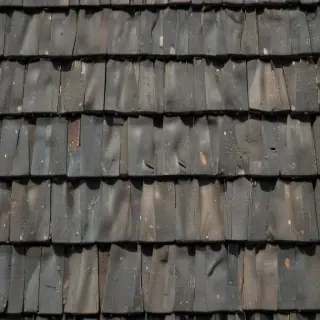 pictures of shingles