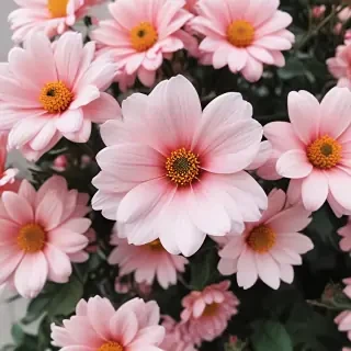 cute flower wallpaper aesthetic
