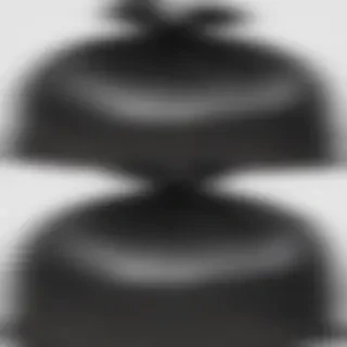 trash bags png