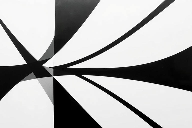 Create an abstract black and white geometric design with sharp lines and smooth curves, using a Canon EOS R5 camera with a 50mm lens, aperture set to f/1.8, ISO 100, shoot from a top-down view with soft diffused lighting to enhance contrast and detail.
