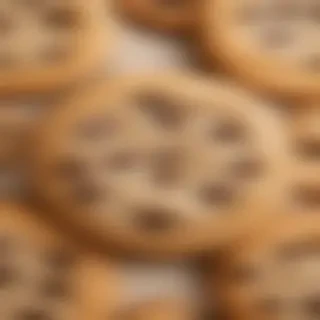 chocolate chip cookie png