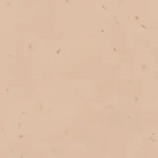 beige background aesthetic
