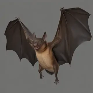 bat png