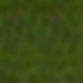 moss png