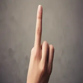 middle finger background