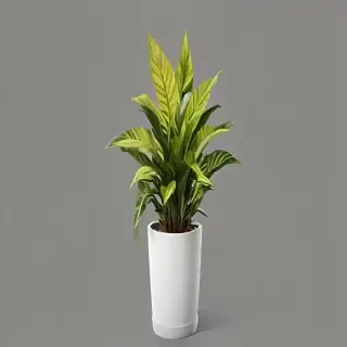 indoor plant png