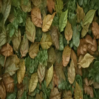 leaves no background
