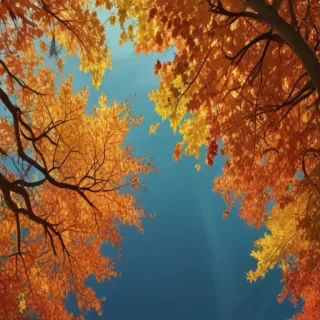 fall background iphone