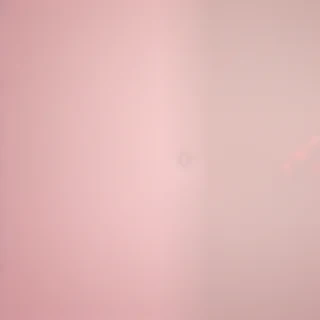 plain light pink wallpaper