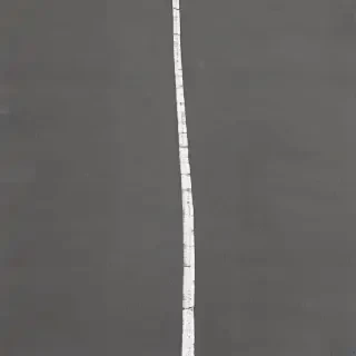 roadway png