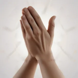 praying hands png transparent