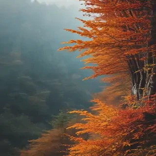 fall background iphone