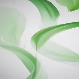 background white and green