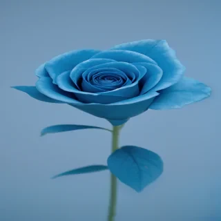 aesthetic blue