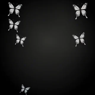 butterfly background black