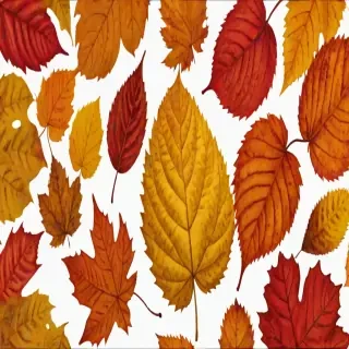 fall leaves png transparent