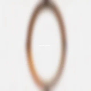circular frame png