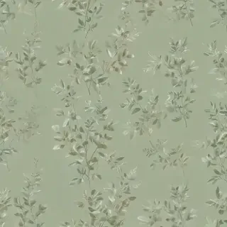 sage green bg