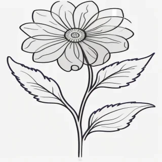 transparent flower outline