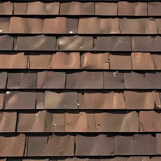 shingles images