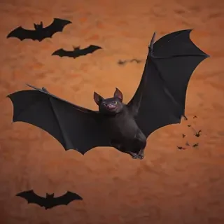 images of halloween bats