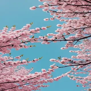 spring desktop wallpaper aesthetic